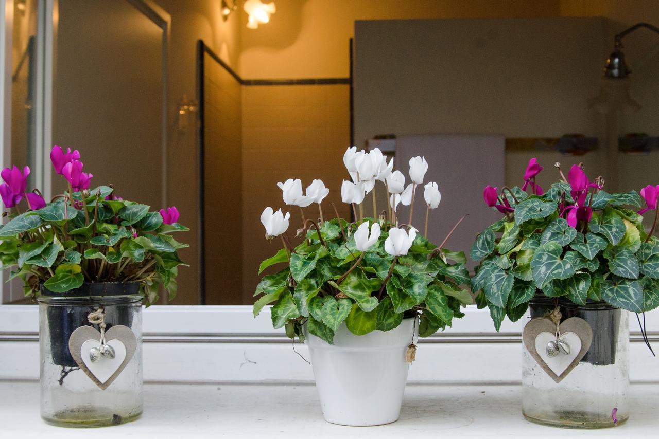 Il Bagattino Bed & Breakfast Ferrara Dış mekan fotoğraf